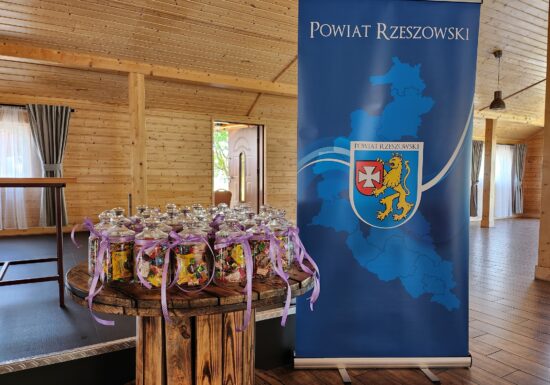 Powiat Rzeszowski organizuje i wspiera pieczę zastępczą