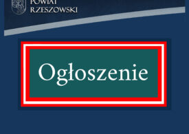 Rozstrzygnięcie konkursu ofert na realizację zadań publicznych Powiatu Rzeszowskiego w 2025 roku