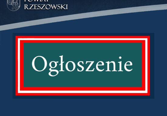 Rozstrzygnięcie otwartego konkursu ofert na realizację zadania w 2025 roku