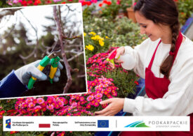 Nowa szansa na pracę i piękniejszy powiat – rusza projekt „Aktywna integracja w Powiecie Rzeszowskim”