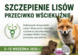 Jesienna akcja szczepienia lisów przeciwko wściekliźnie