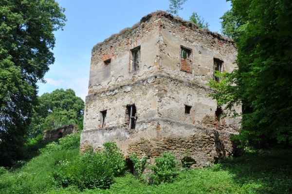 ruiny zamku w Dąbrówce Starzeńskiej