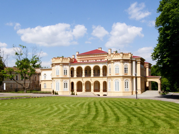 pałac rodziny Wodzickich w Tyczynie